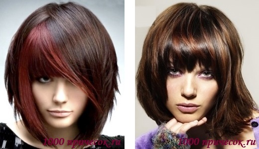 современные прически и стрижки